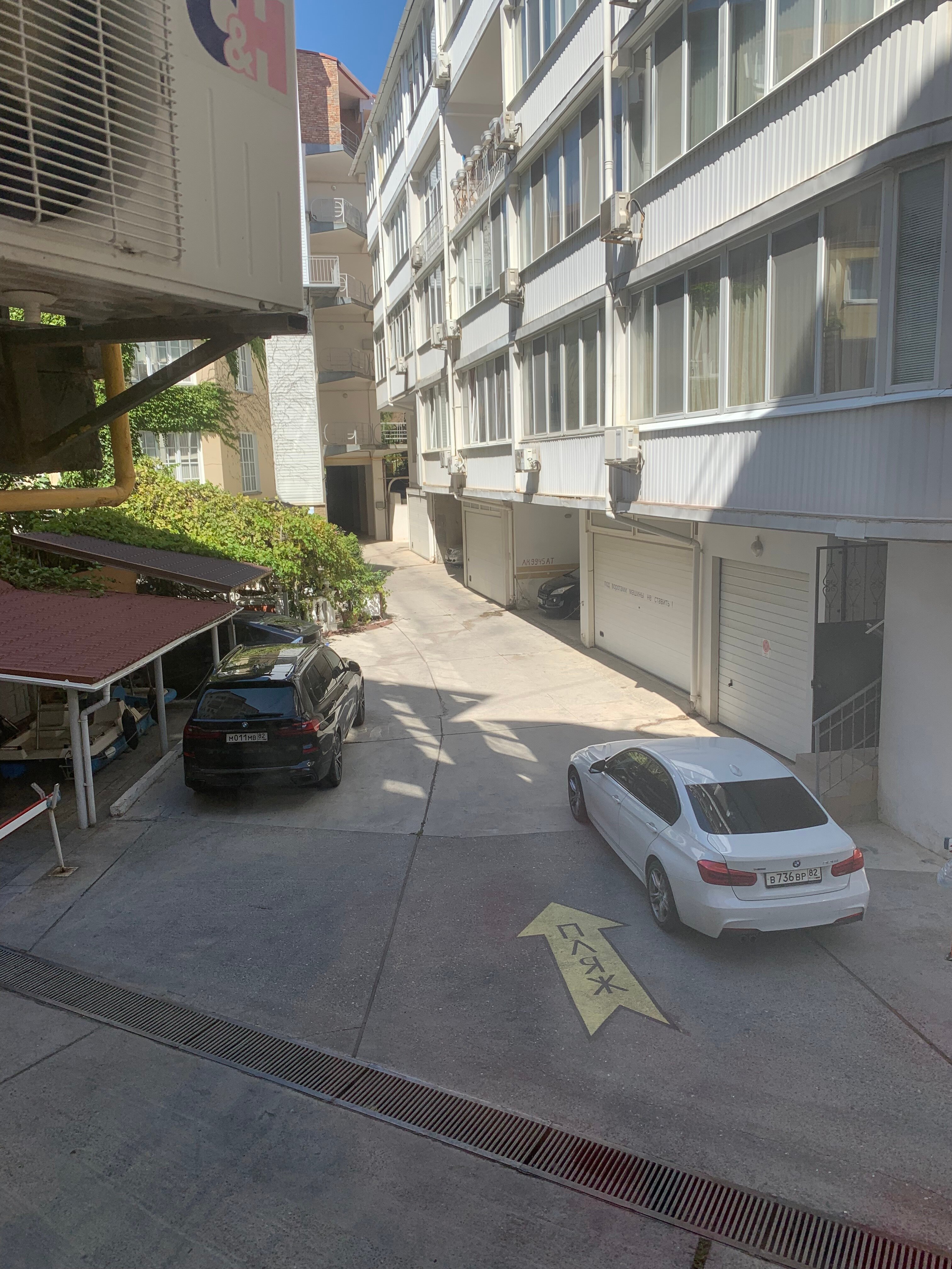 Фото Жемчужина