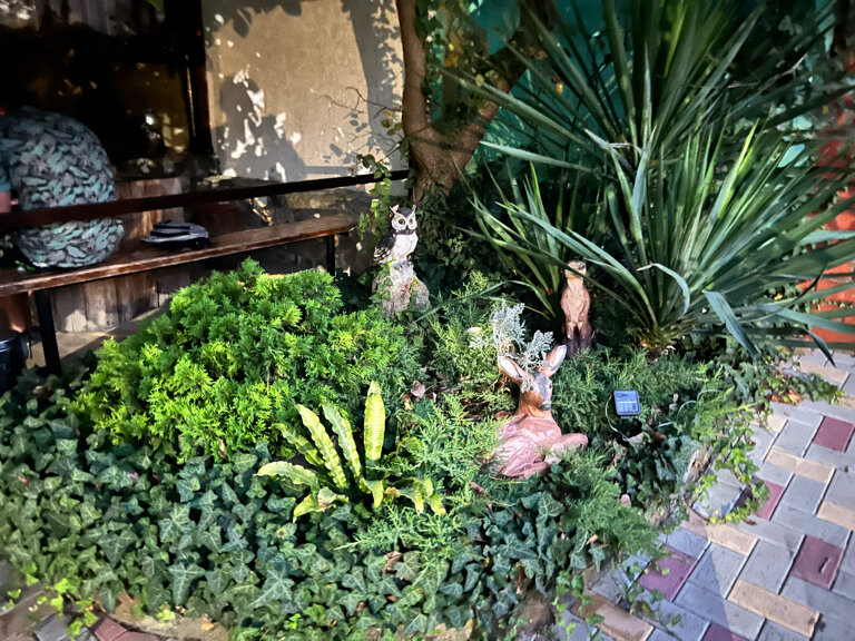 Фото Черноморская лоза