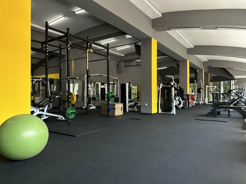 Sports hall, gym Gorilla, Simferopol, photo