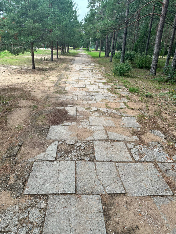 Фото Орлинка