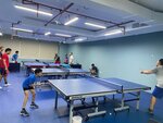 Spin and Smash Table Tennis Academy (Essque Hotels, Al Barsha 1, Al Barsha, Hadaeq Mohammed Bin Rashid, Dubai), sports school