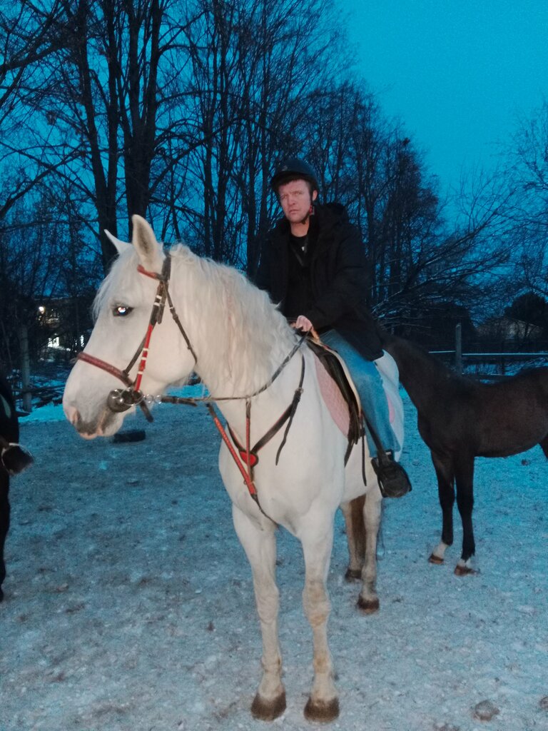 Конный клуб Лошади и мы, Рыбинск, фото