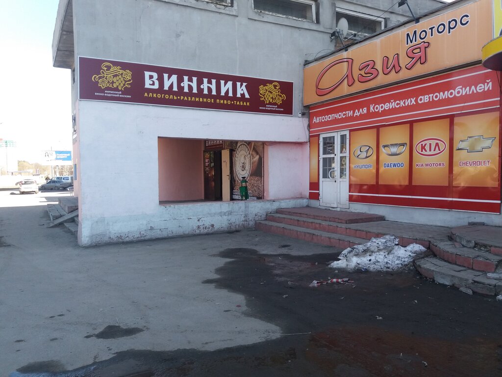 Auto parts and auto goods store Asia Motors, Bryansk, photo