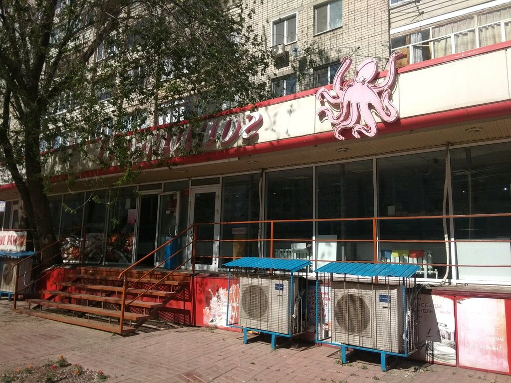 Осьминог саратов фото