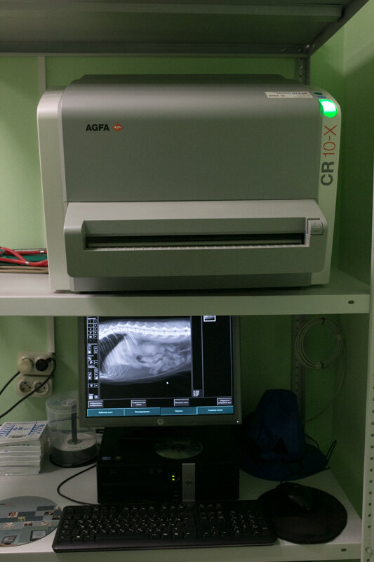 Veterinary clinic Ars medika, Moscow, photo