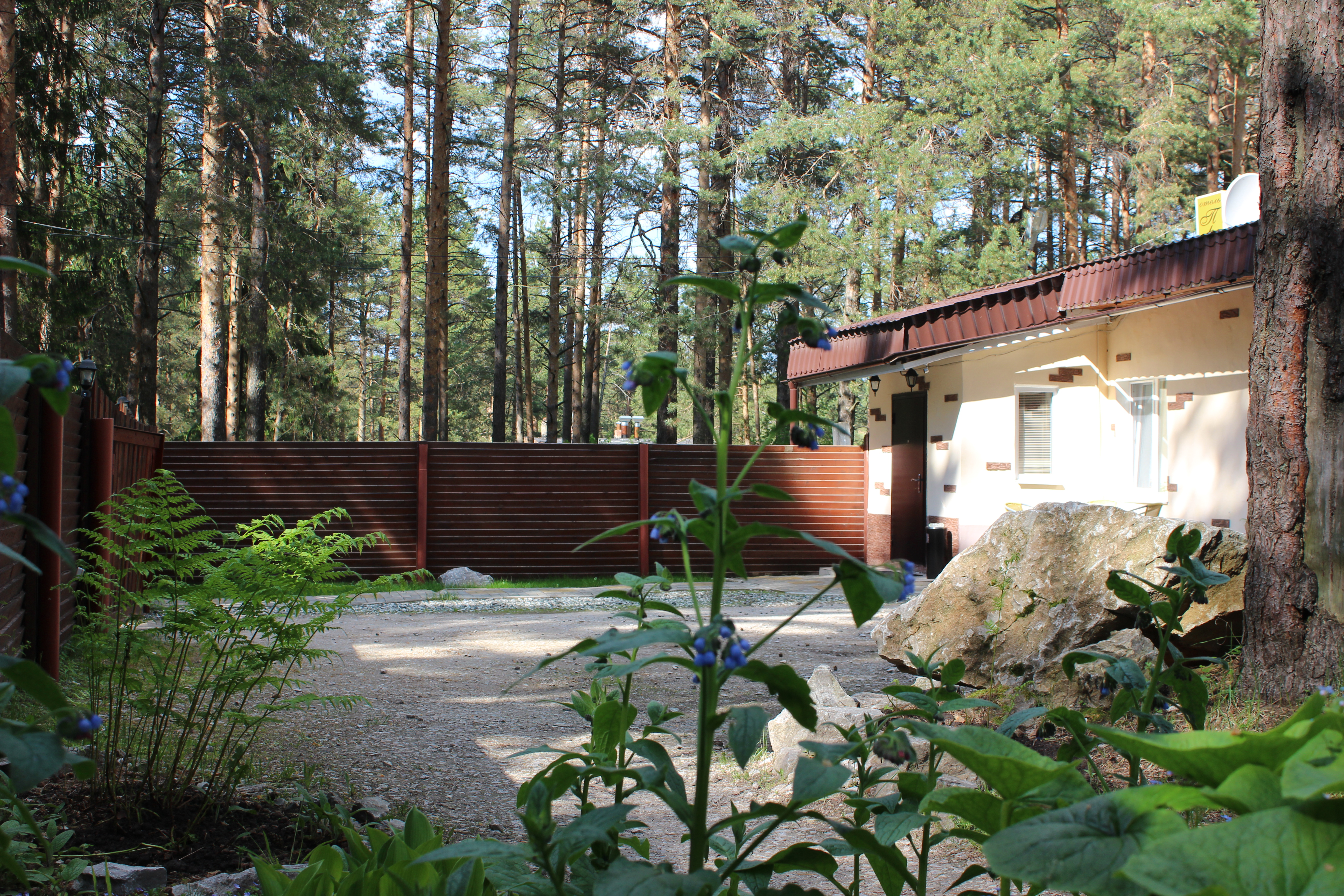 Фото Комплекс Президент