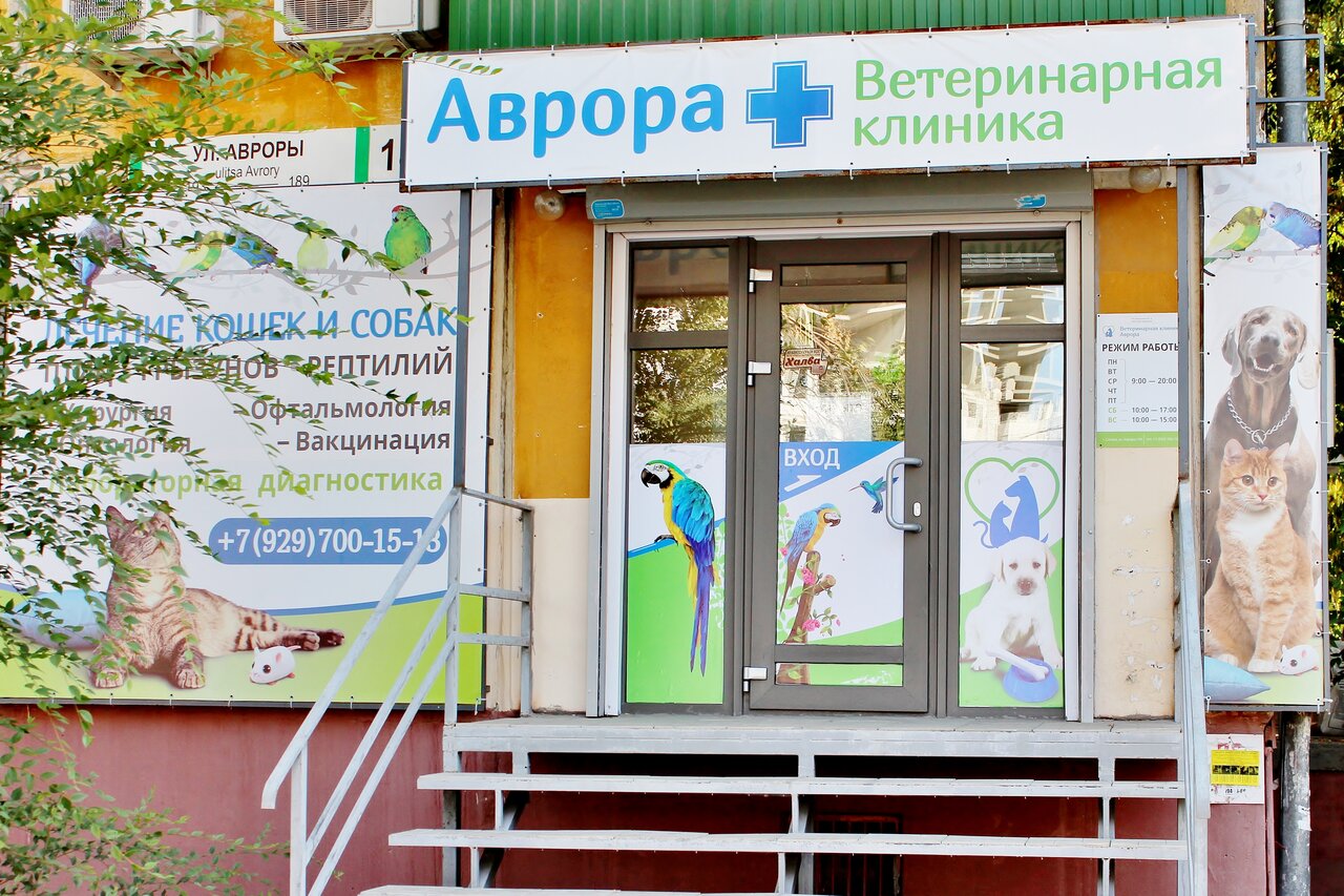 Карта ветеринарной клиники