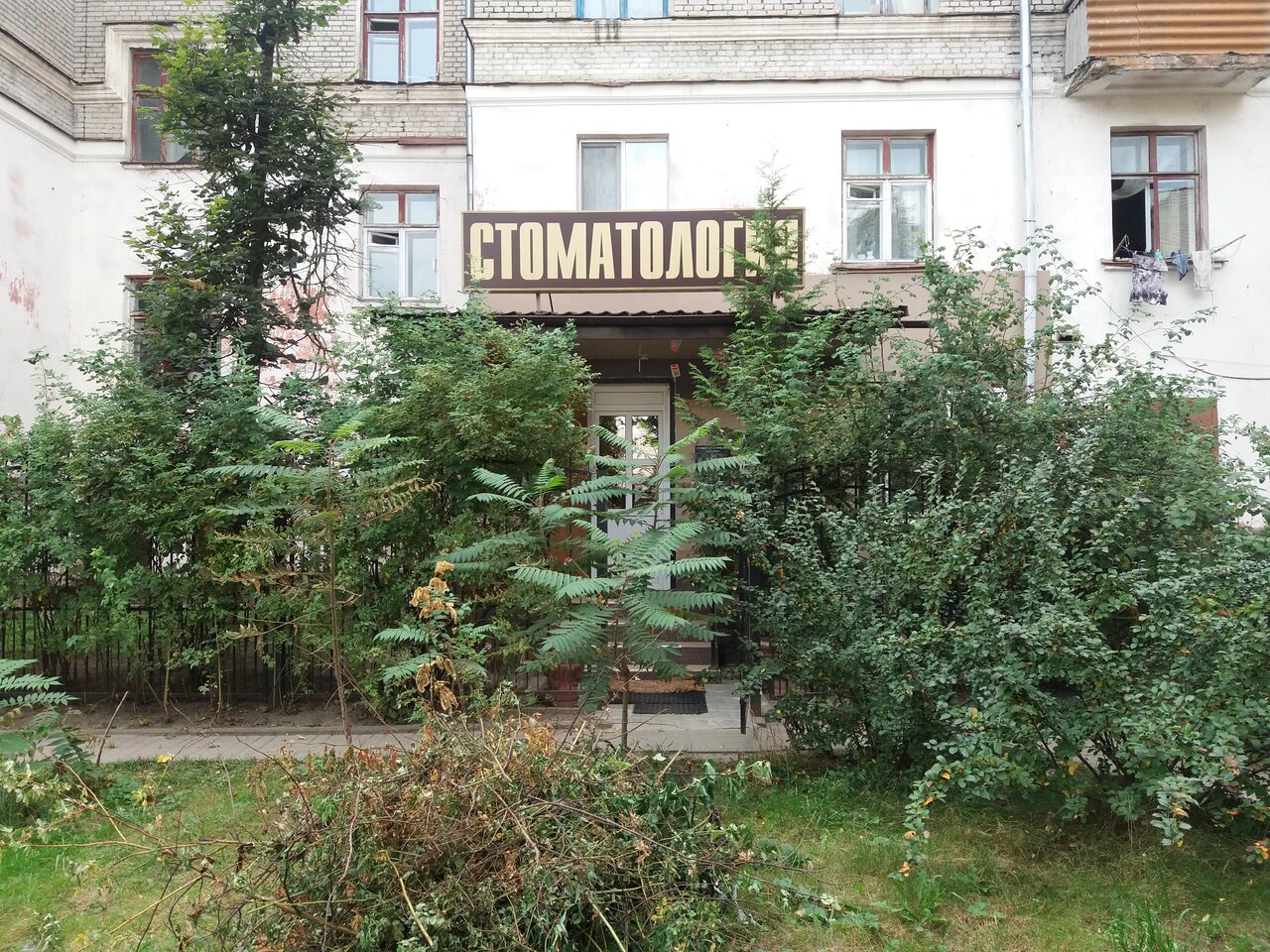 Леге Артис