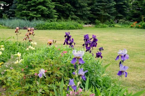Гостиница Zielone Zacisze в Великопольском воеводстве
