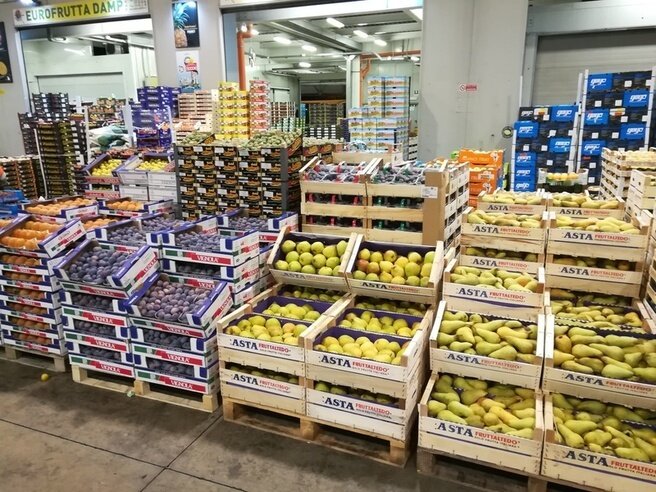Boats, motor boats, yachts Eurofrutta Damp, Liguria, photo