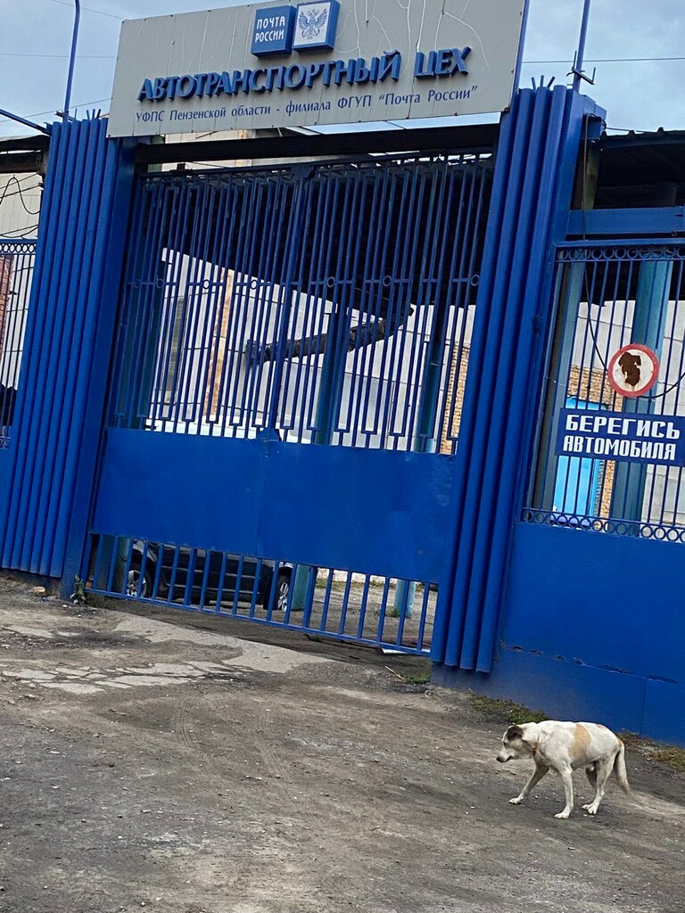 Transport company, car depot ОСП Автотранспортный цех Пензенский почтамт, Penza, photo