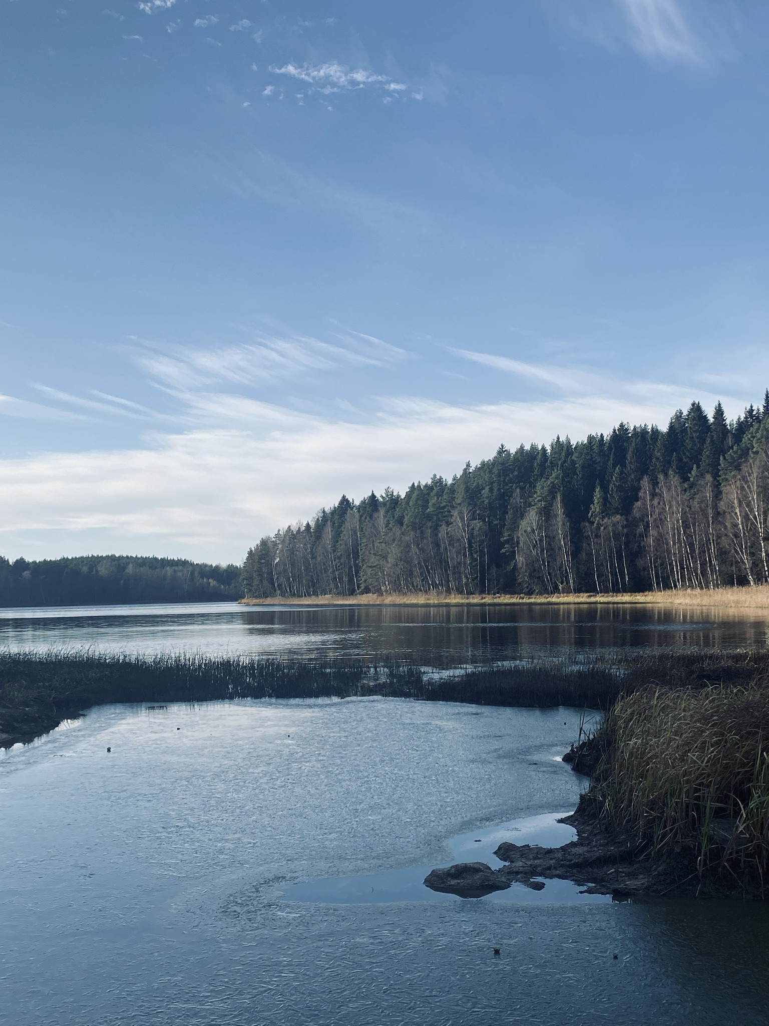 Фото Шелест