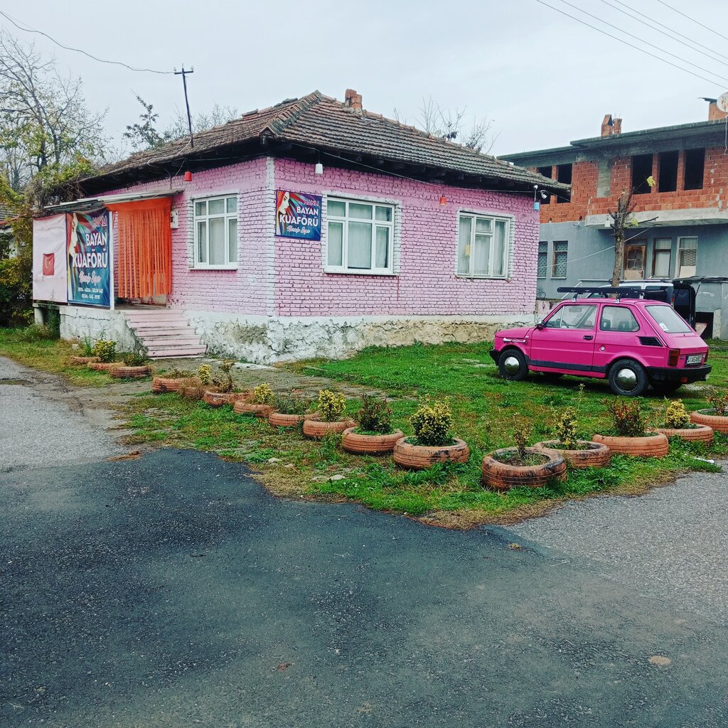Hairdresser Hanli bayan kuaforu, Arifiye, photo