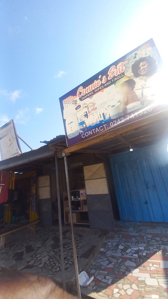 Air purifiers, humidifiers and fragrances Connies Ent, Earth, photo