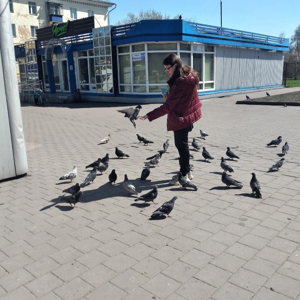 Supermarket Ярче!, Belovo, photo