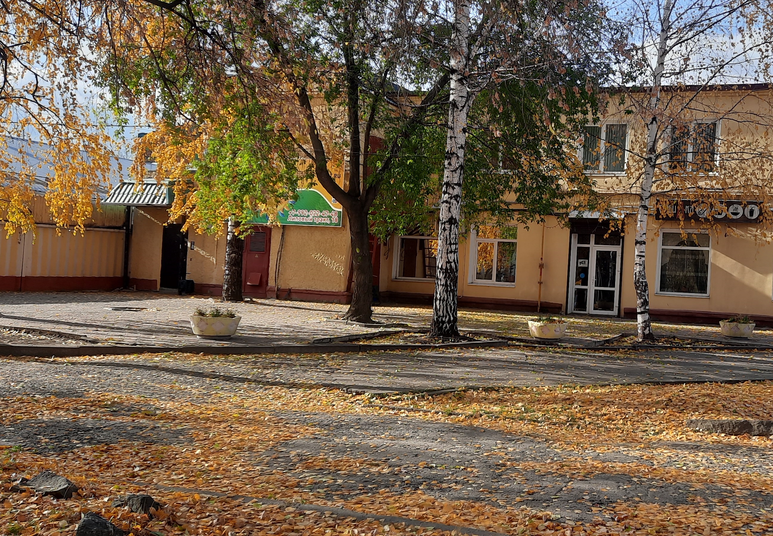 Фото Солнечный