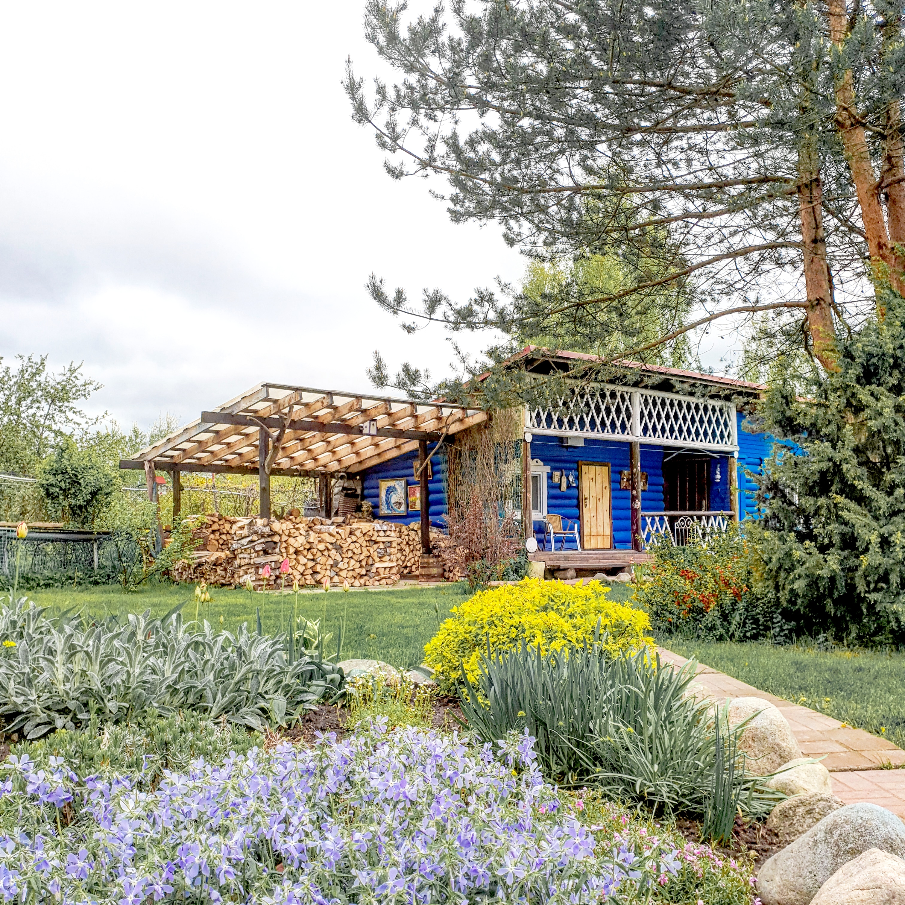 Фото Лавандовый сад