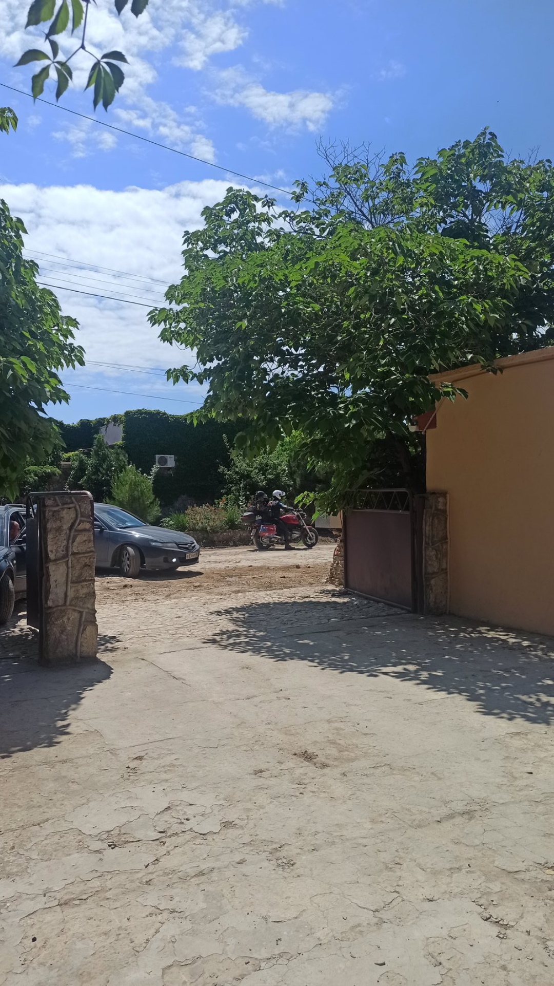 Фото Катран