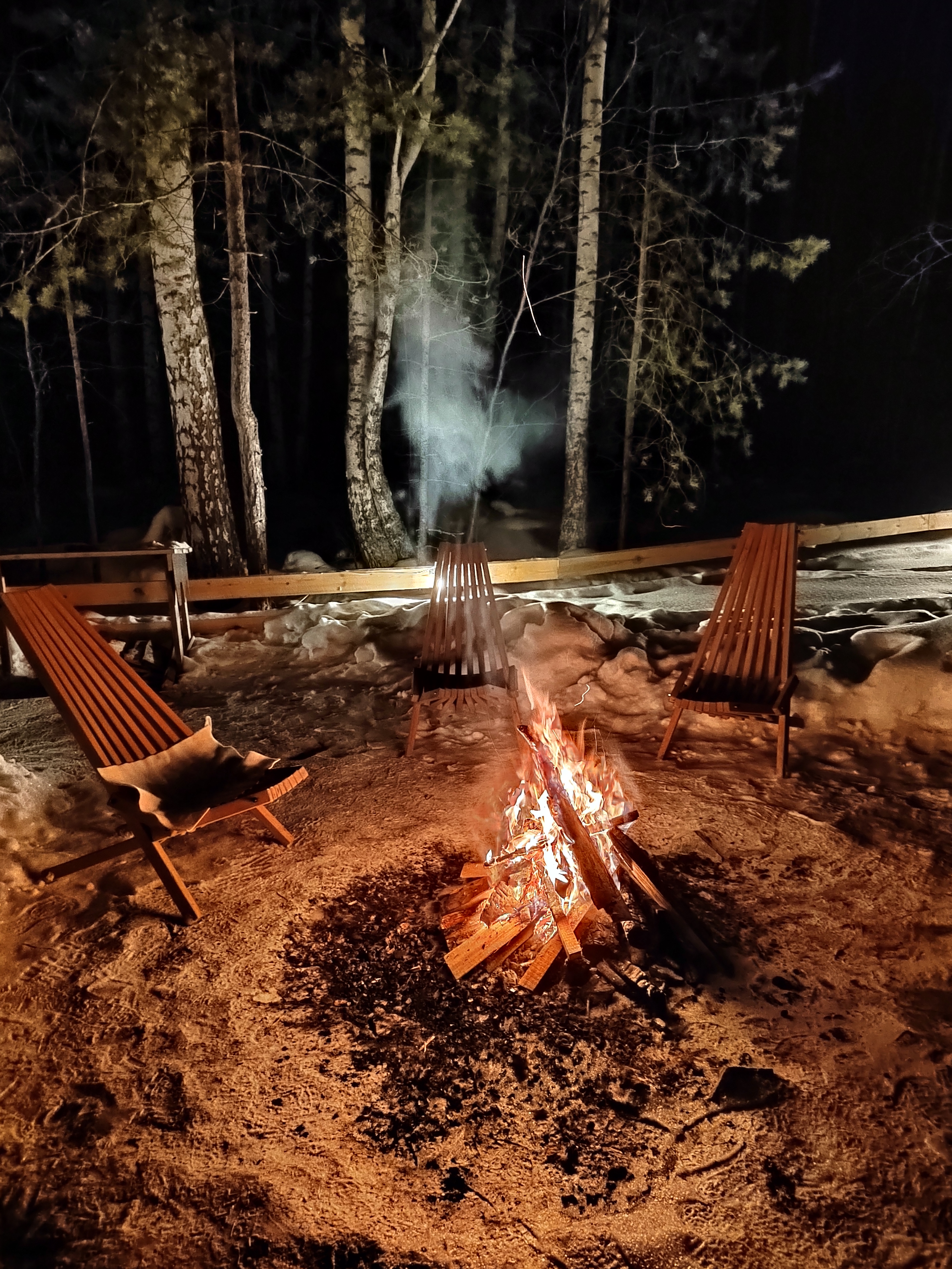 Фото На опушке