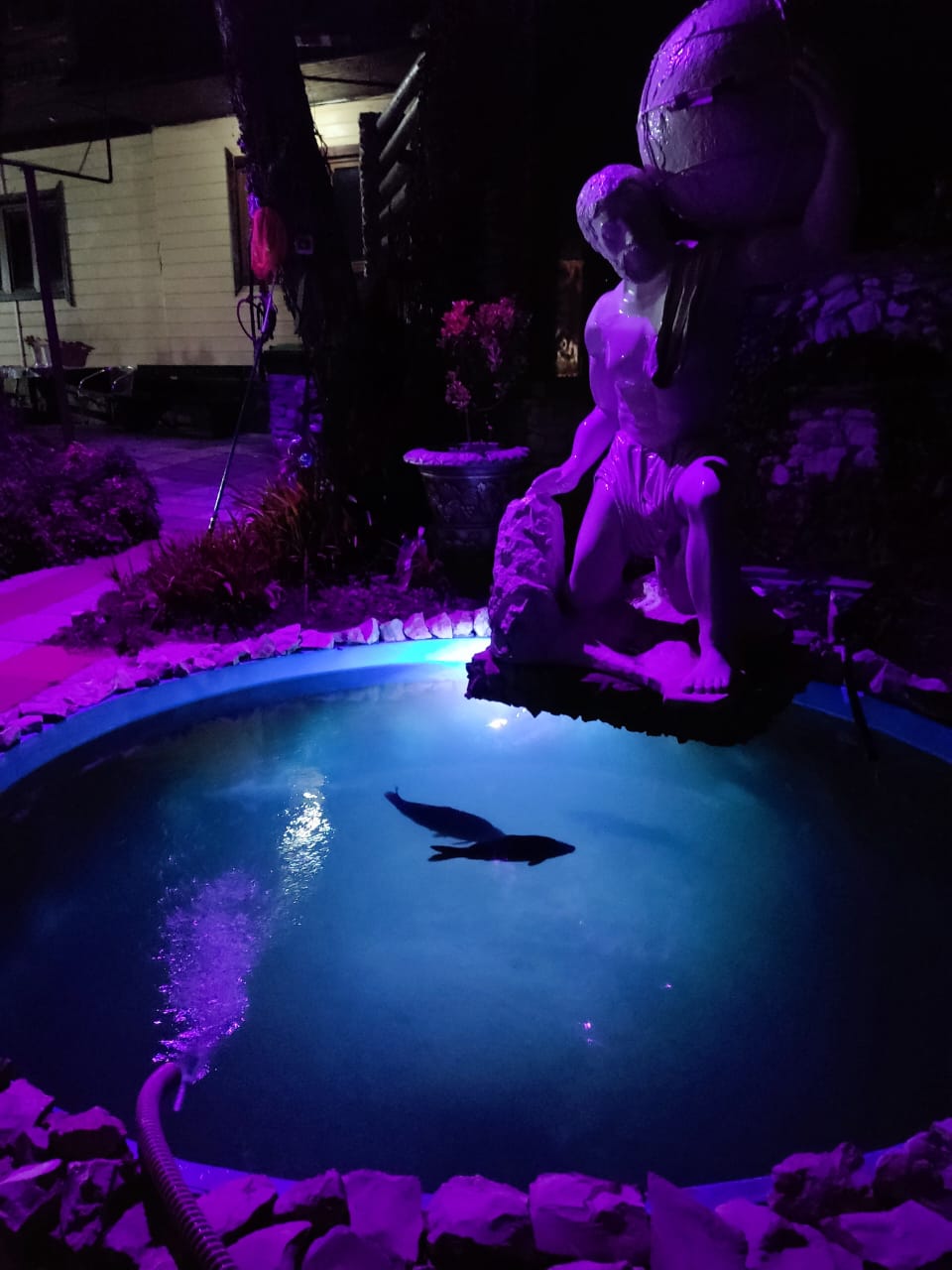 Фото Монастырская изба