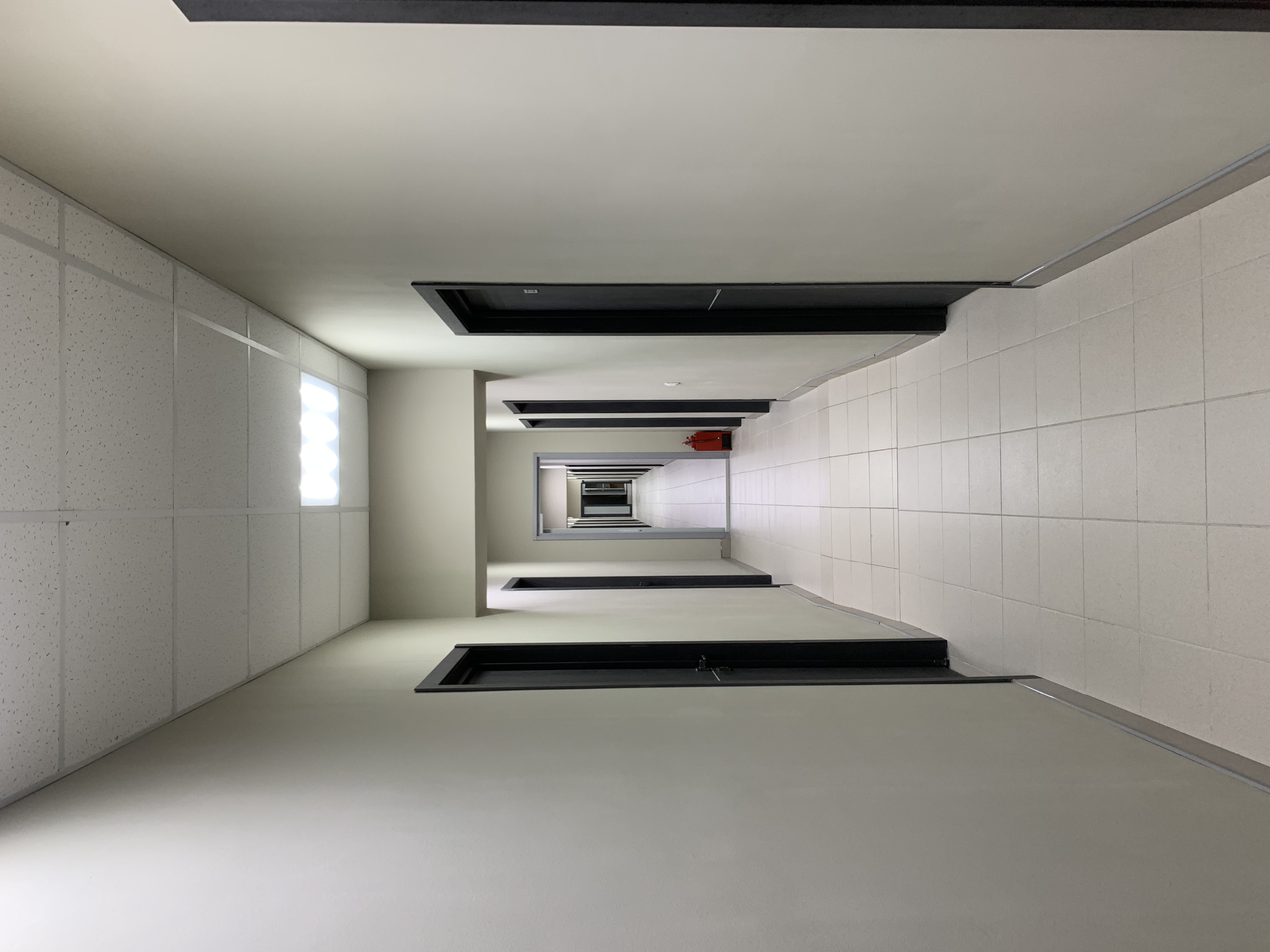 Фото Симбиот