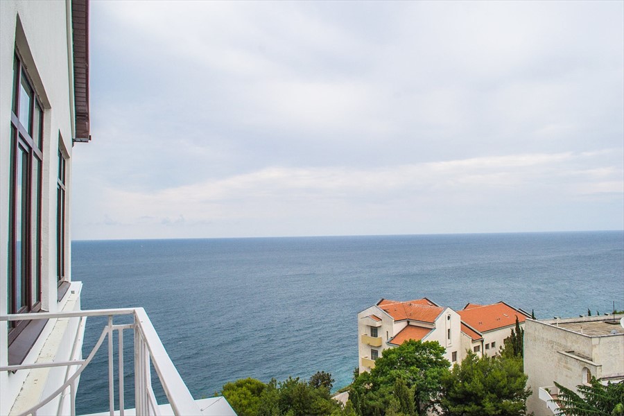 Фото Сосновая роща