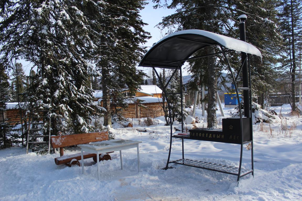 Фото Заповедный лес