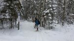 Малиновая гора (Ленинградская область, Всеволожский район, поселок городского типа Токсово, Дачная улица), лыжная база в Санкт‑Петербурге и Ленинградской области