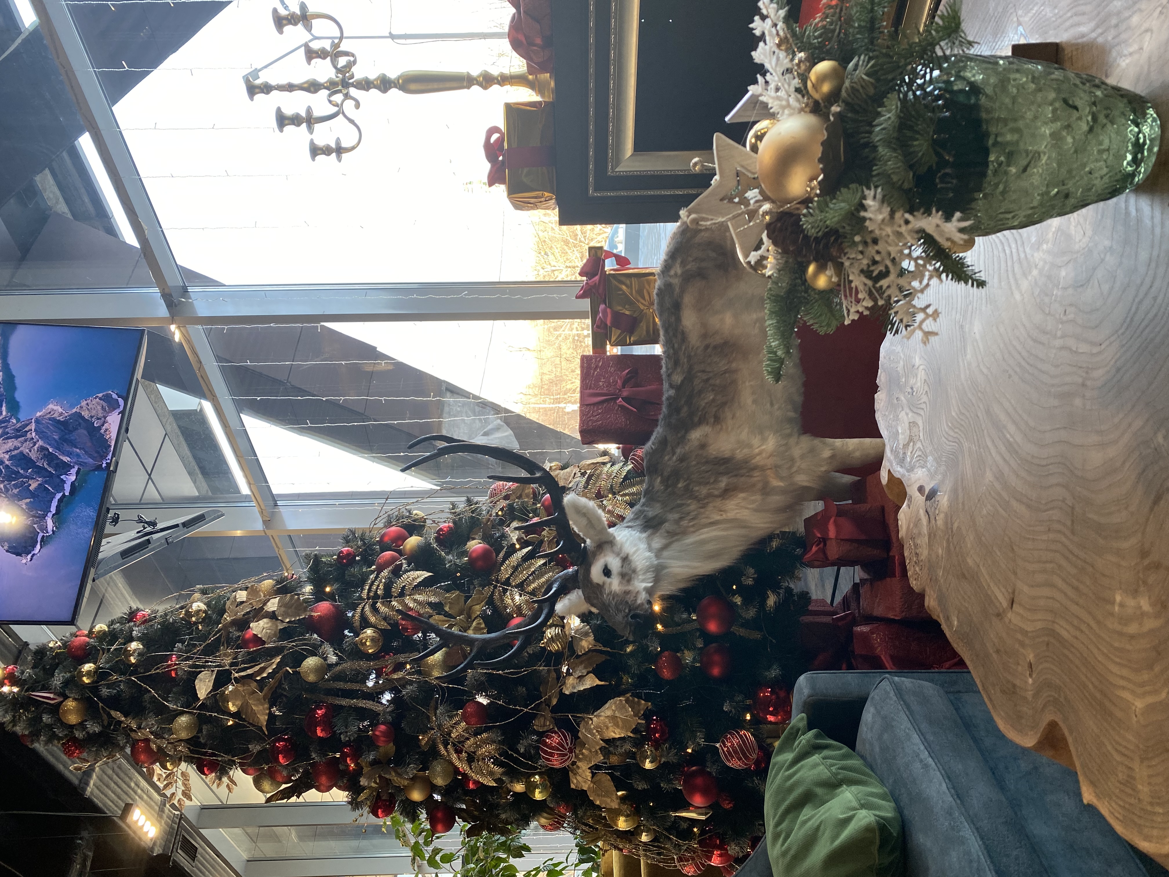 Фото Baikal Forest Hotel