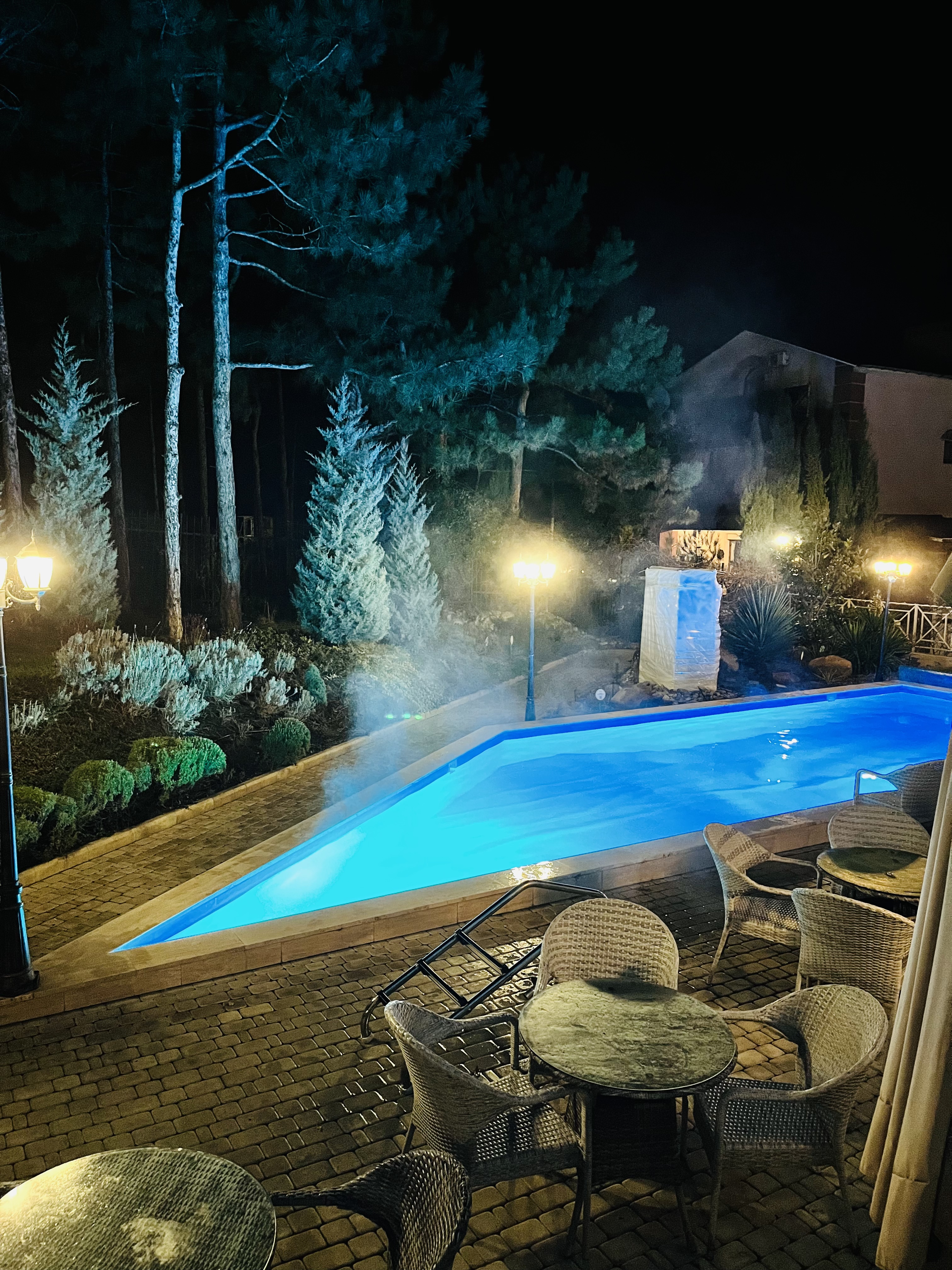 Фото Розмарин