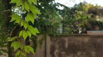 Фото BnButler - Broletto