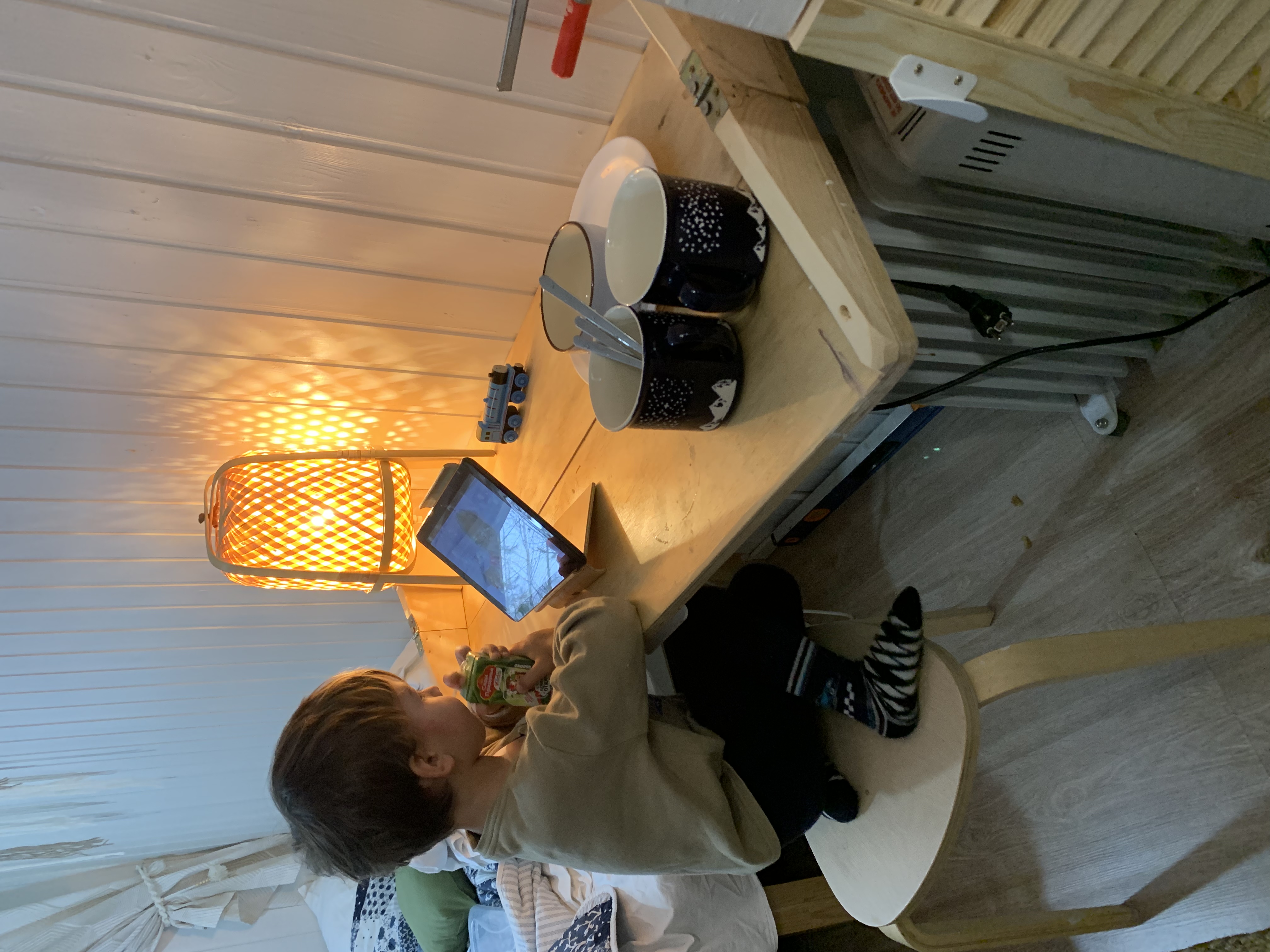 Фото TinyDacha можжевельник