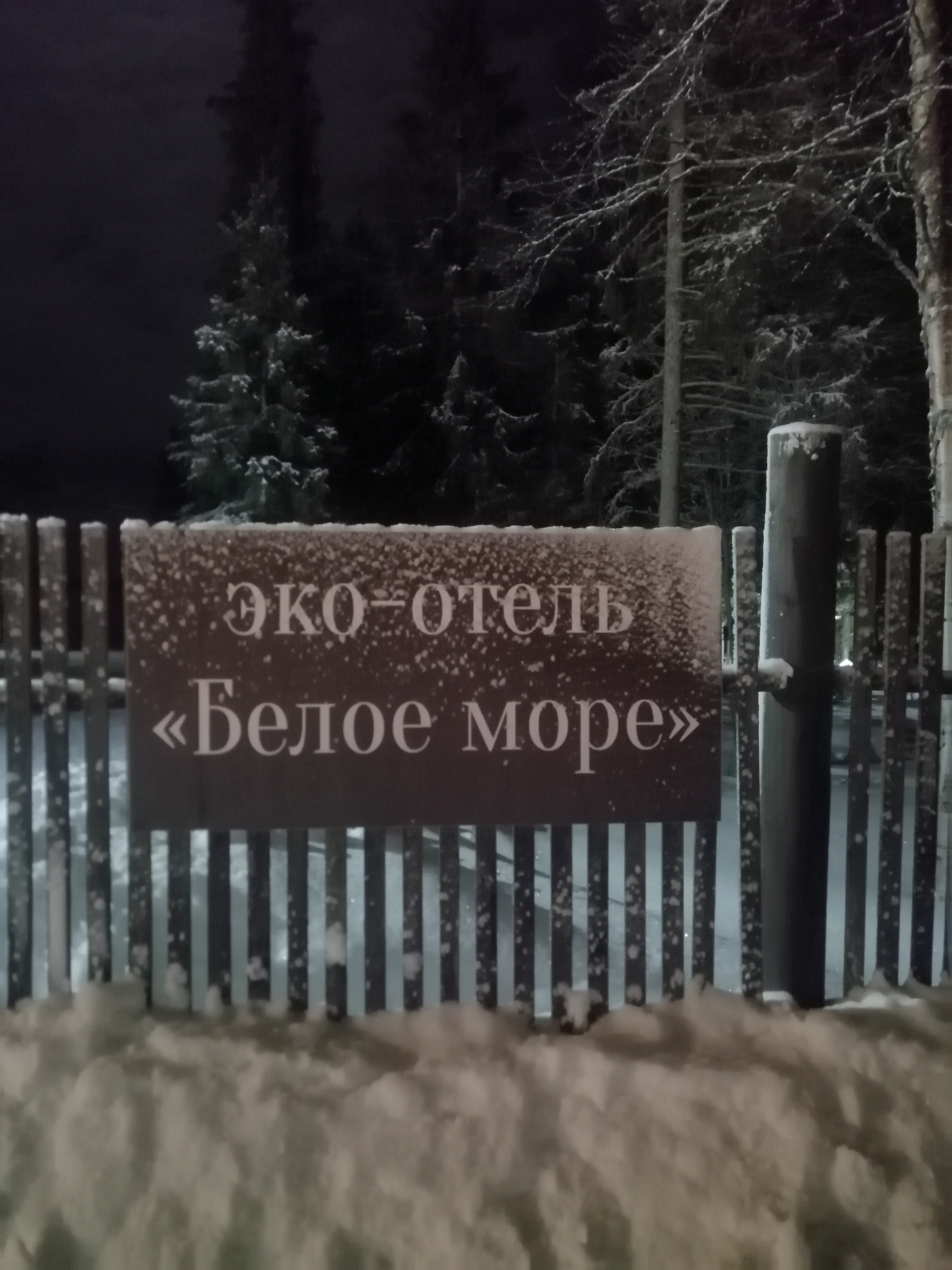 Фото Cedar Grass Белое море