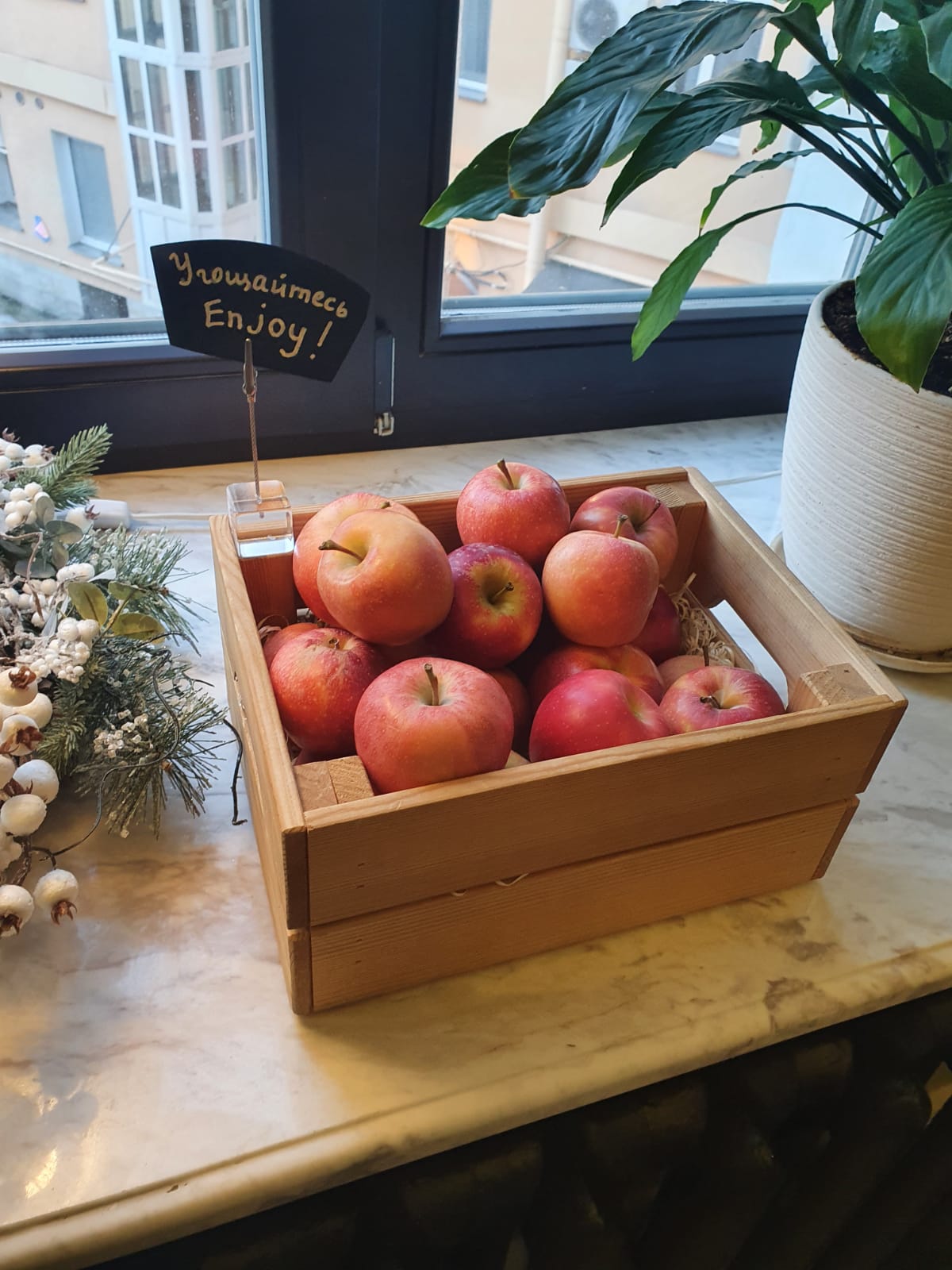 Фото Галунов