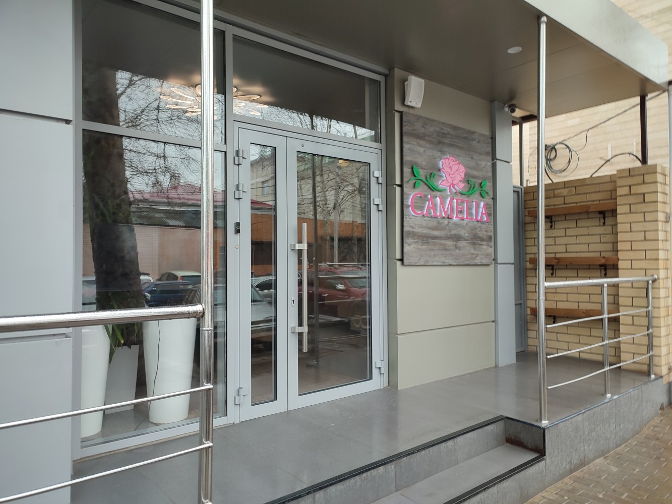 Фото Камелия