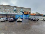 Nasha Dacha (Eksperimentalnaya Street, 7), gardening shop