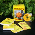K-Programs (Zheleznodorozhnaya ulitsa, 5), programas informáticos