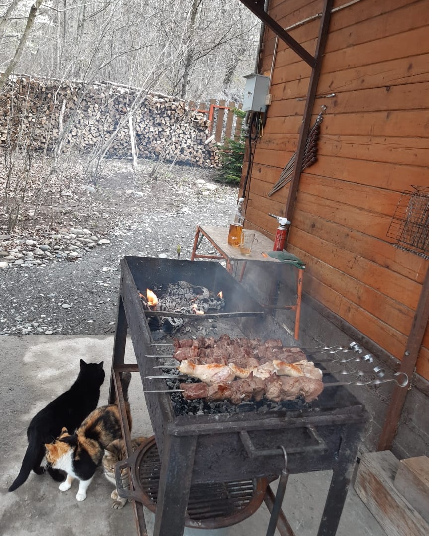 Фото Шале Дрозды