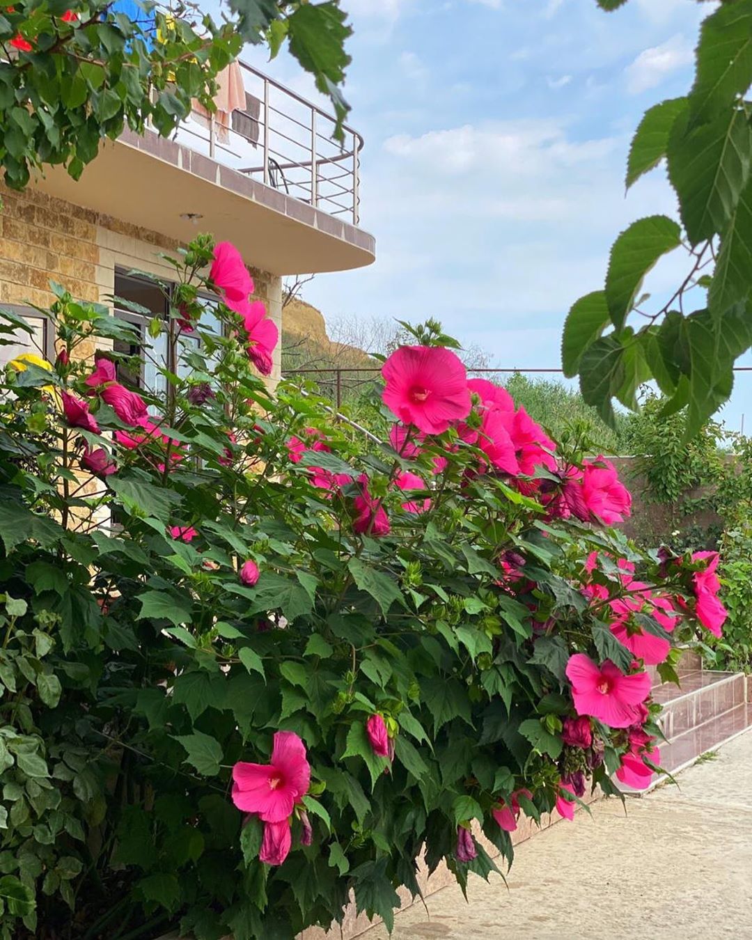 Фото Золотые пески