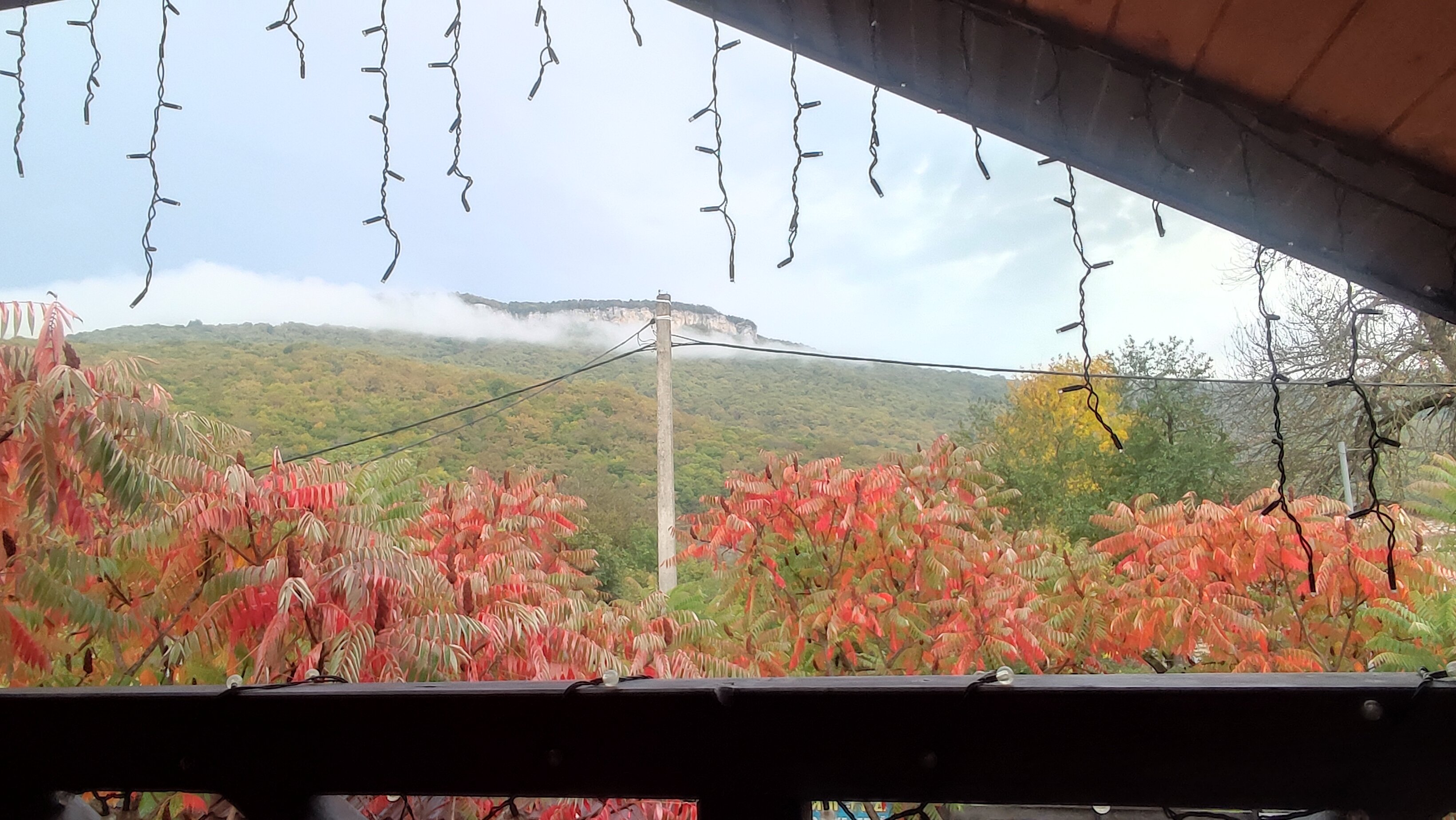 Фото Villa Dax de Lux