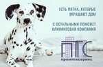 ПромТехСервис (улица Одоевского, 29), клинингтік қызмет көрсетулер  Санкт‑Петербургте