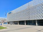Olimpijskij centr sinhronnogo plavaniya (Avtozavodskaya Street, 23Ак4) ، مركز رياضي