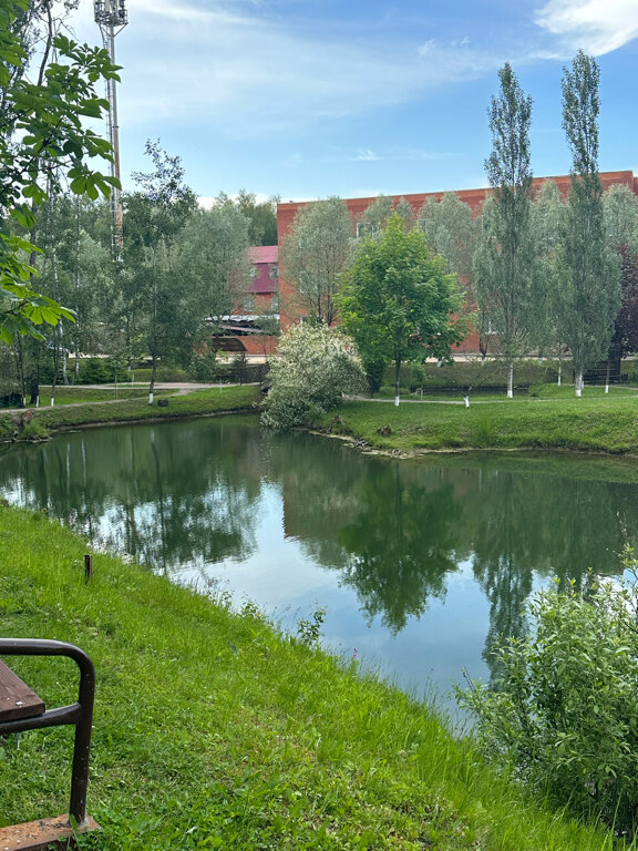 Фото Грин Парк