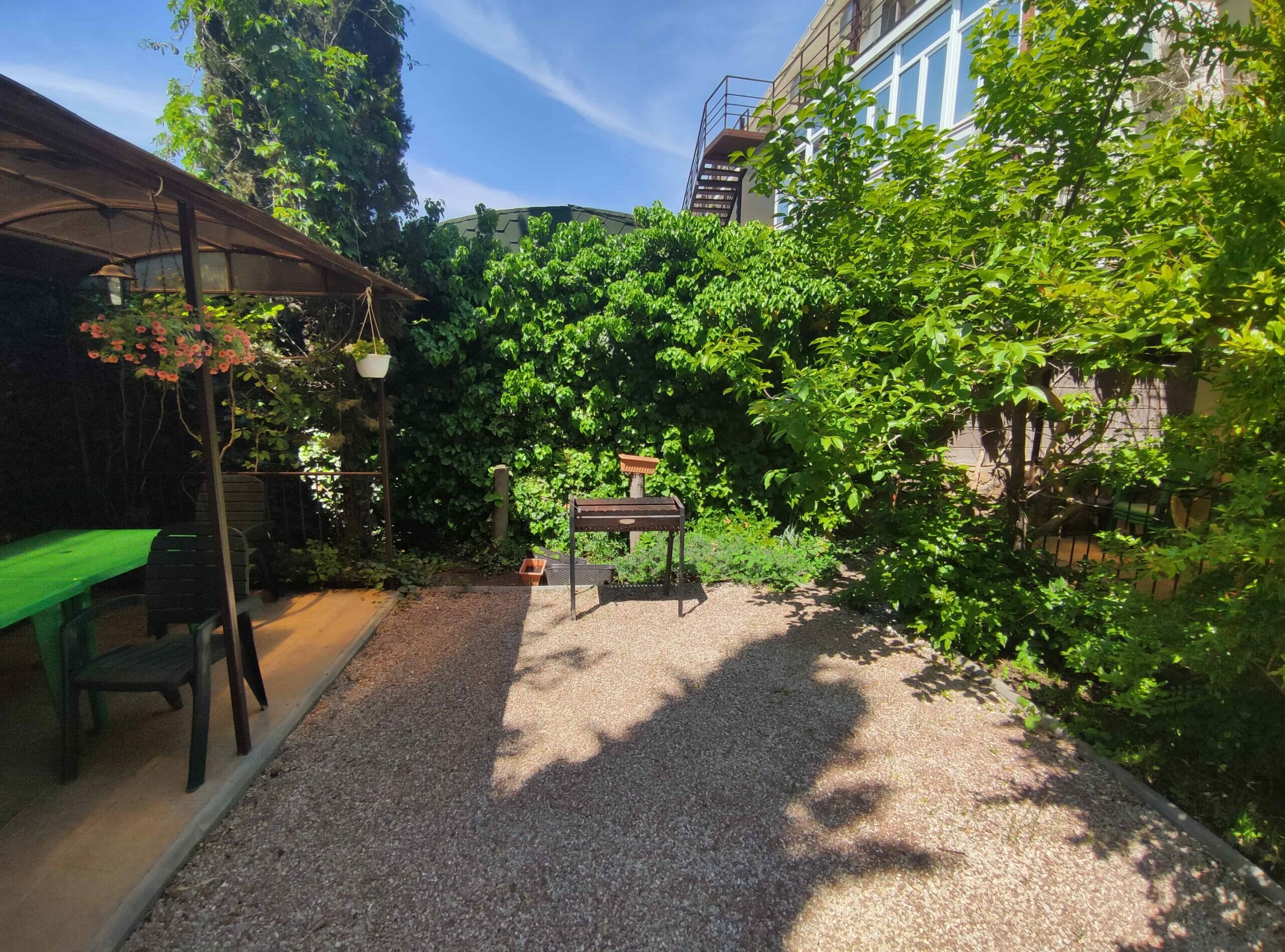 Фото Баттерфляй