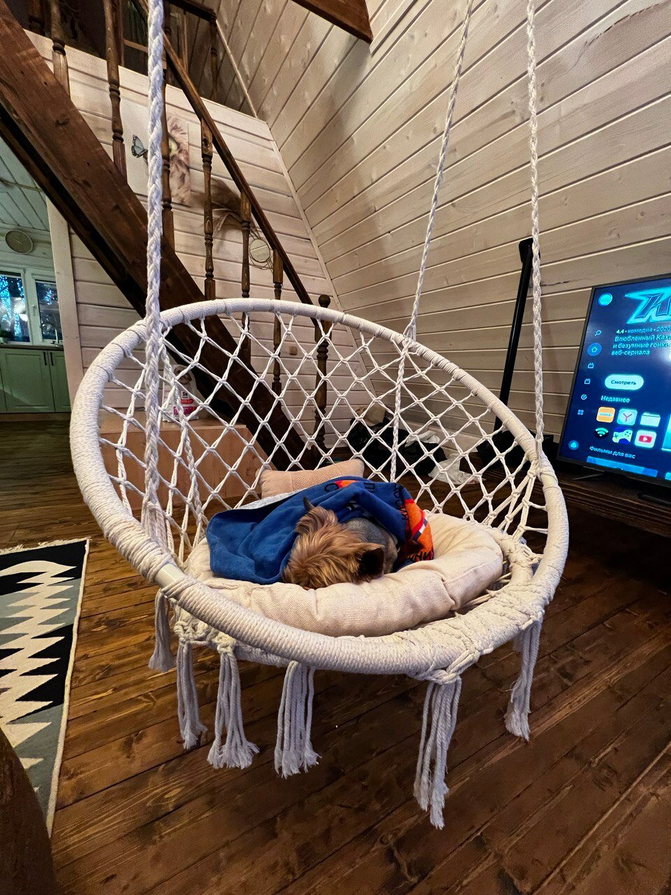 Фото Моисеевичи Life