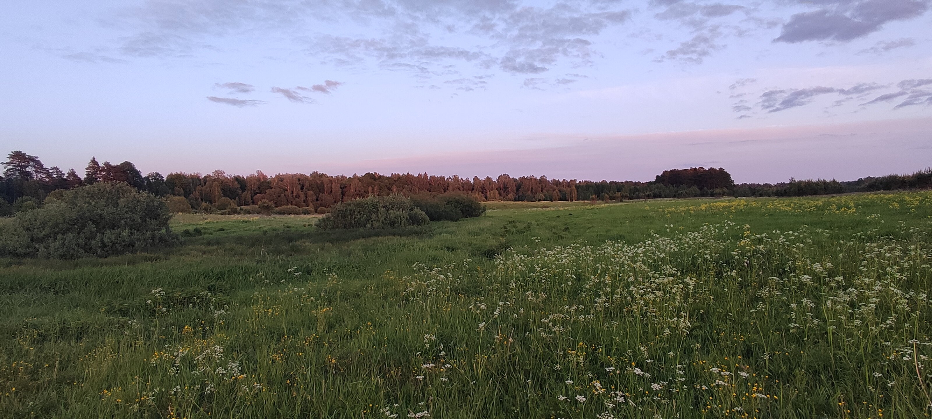 Фото Босфор в Родне