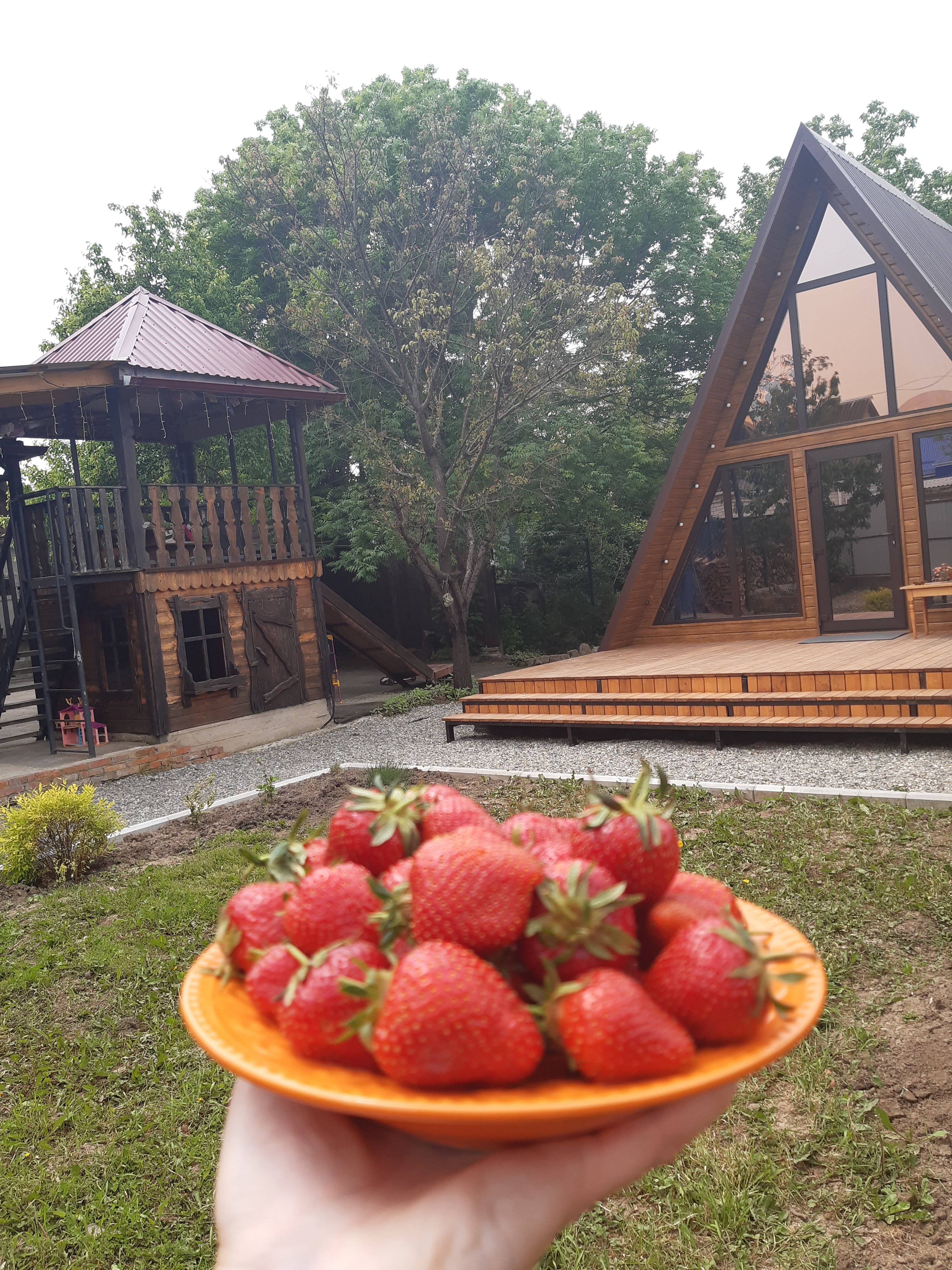 Фото Alpen House 01