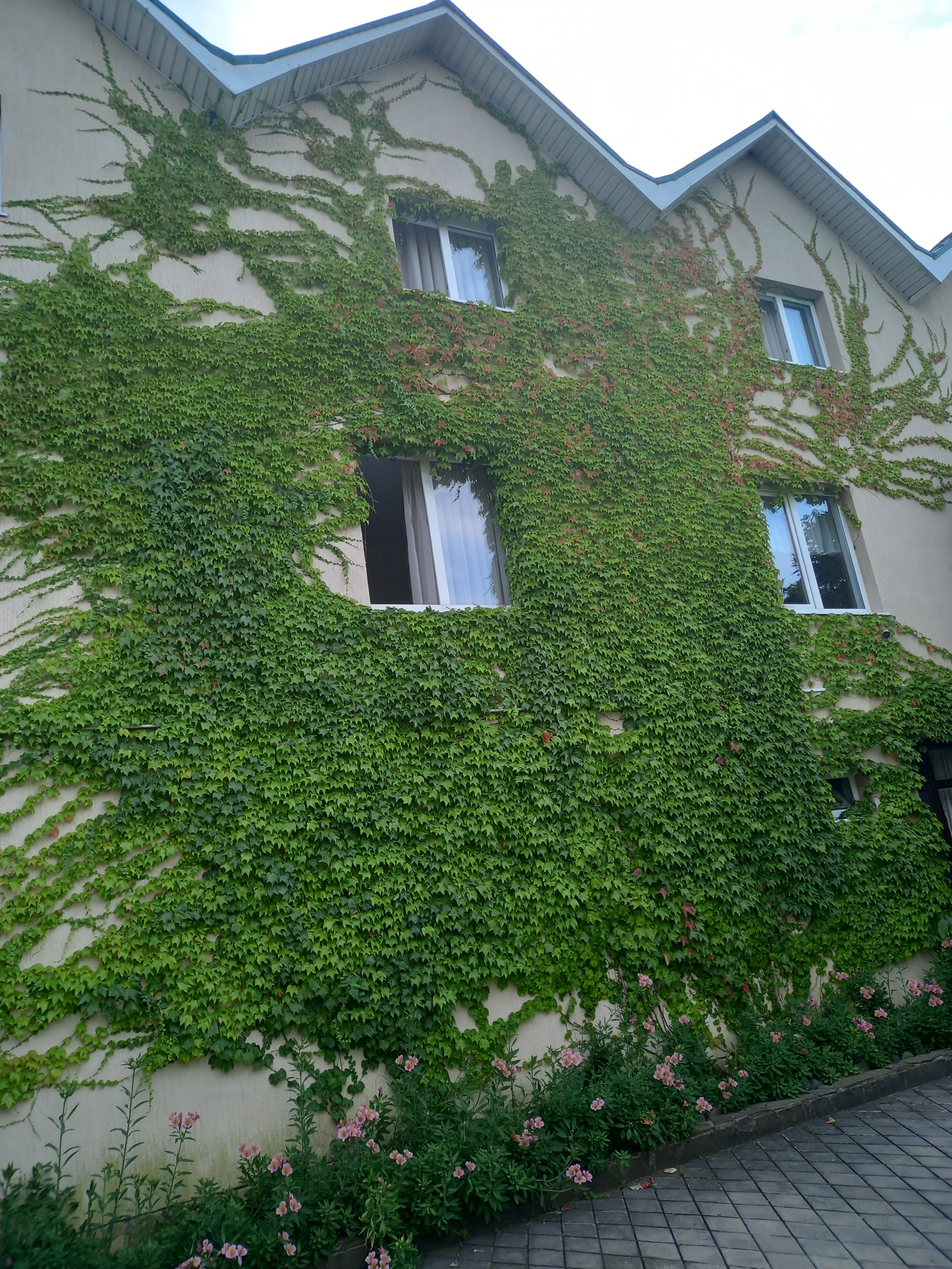 Фото Three Seasons