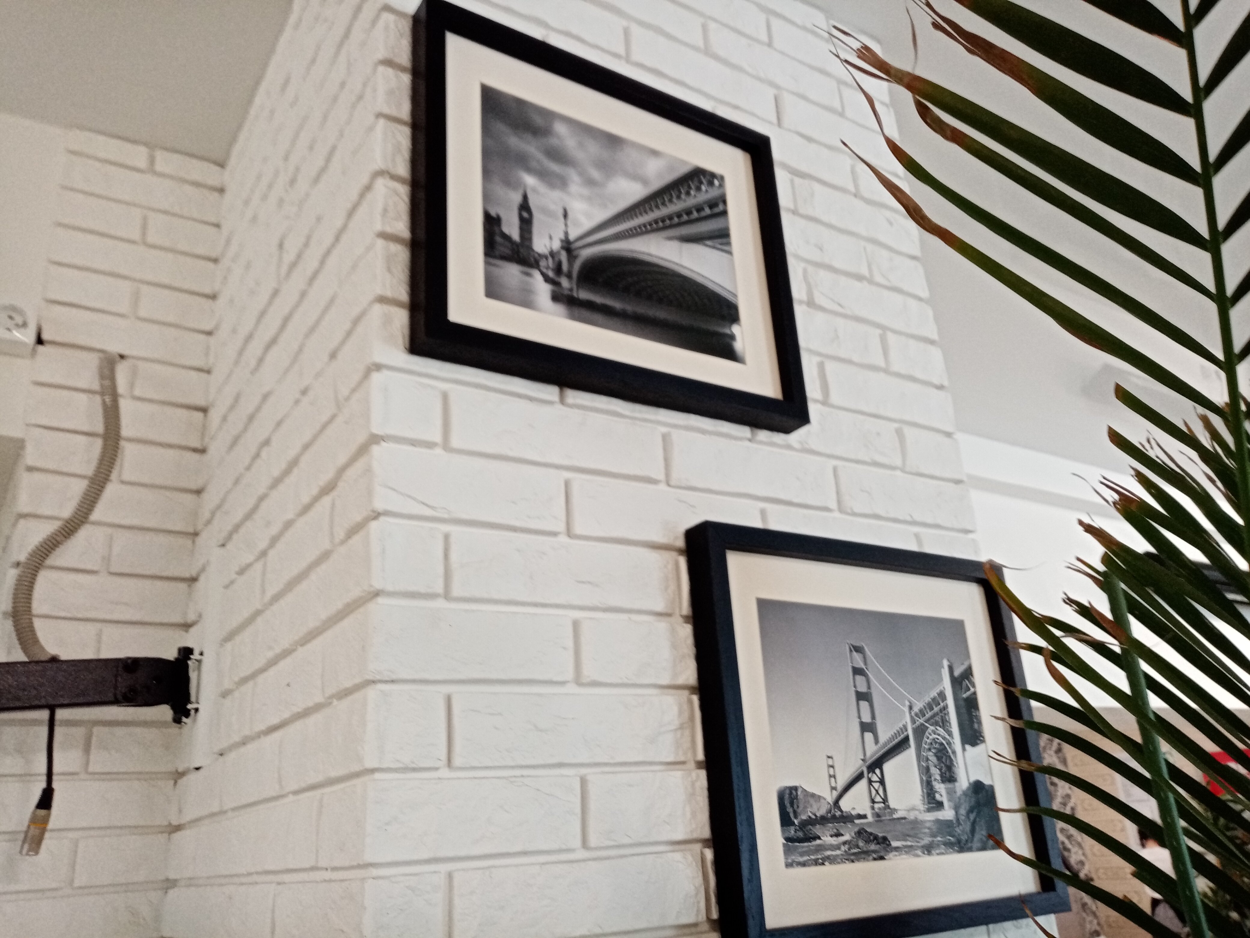 Фото Белые ивы