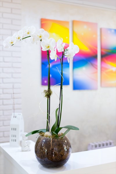 Фото Радужный